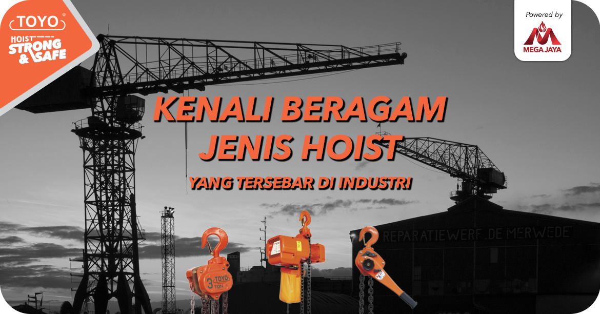 kenali beragam jenis hoist