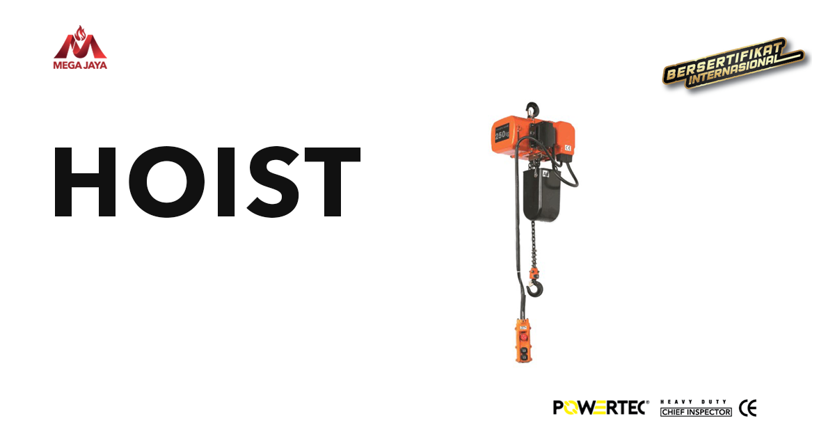 Ketahui Jenis Serta Perbedaan Hoist Dan Crane Berbagai Industri Sexiz Pix