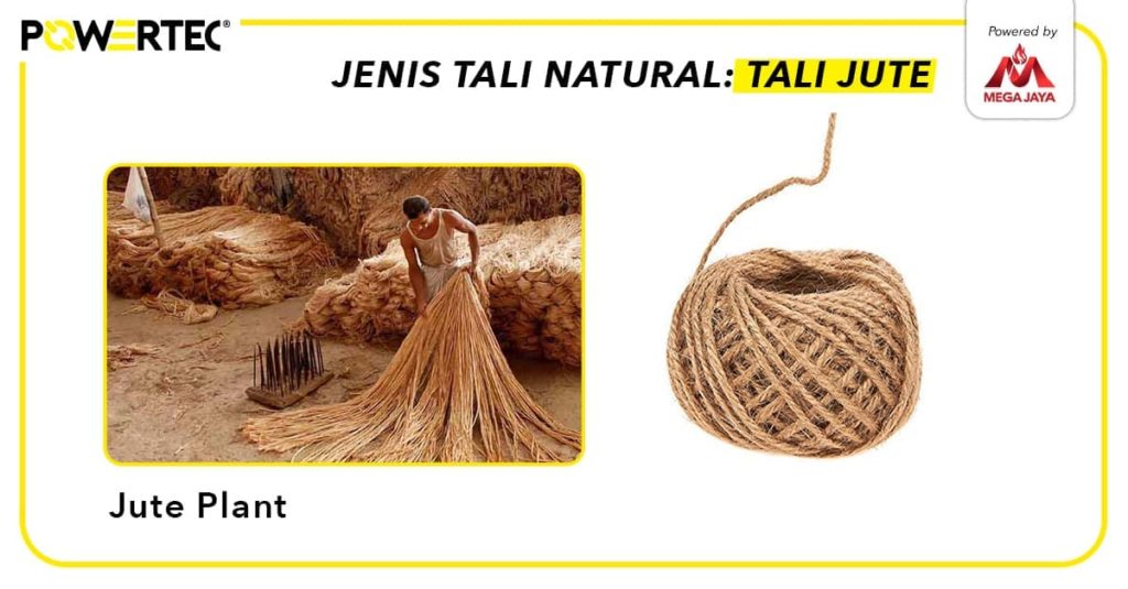 tali jute