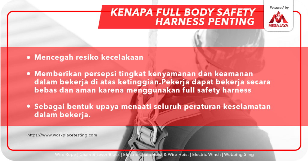 full body safety harness