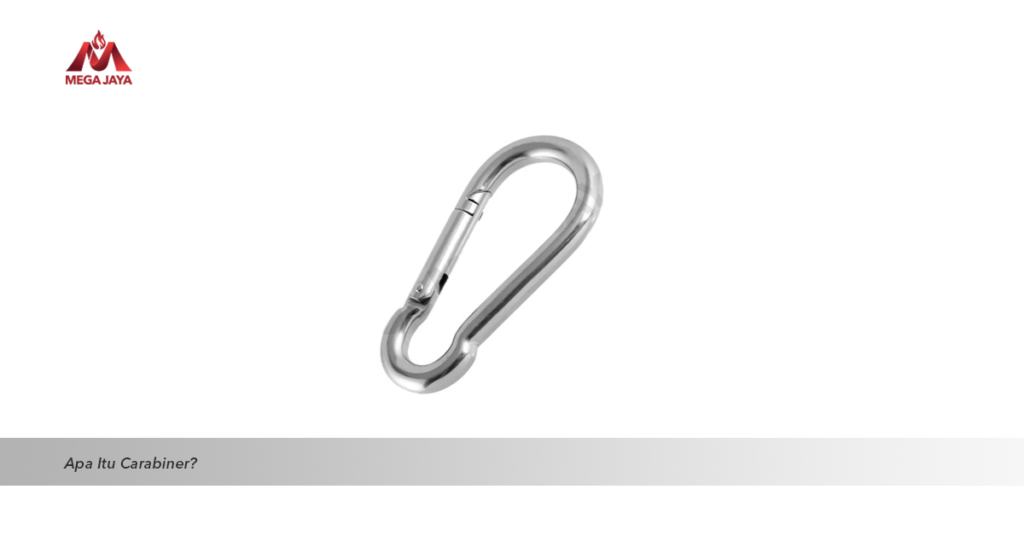 carabiner