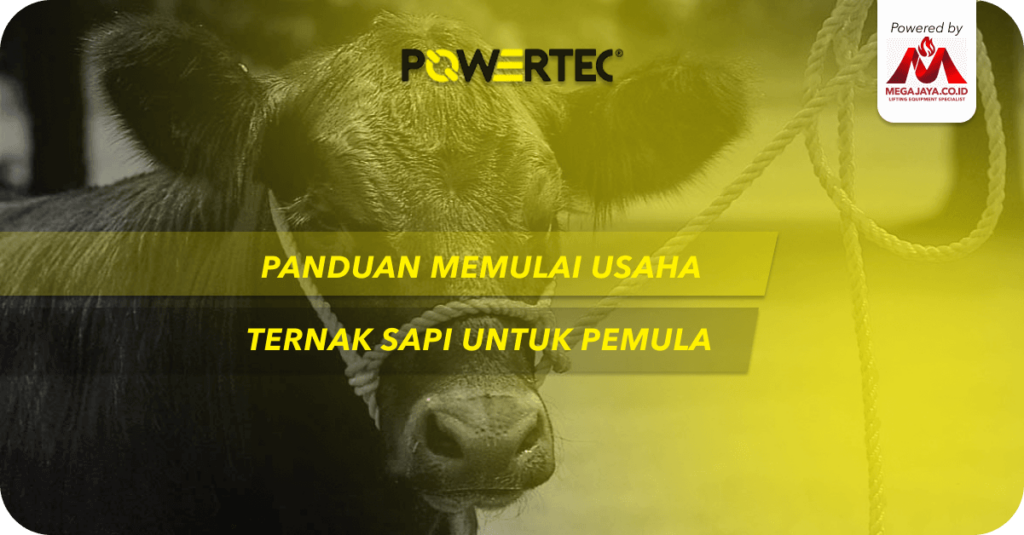 1.1 Panduan Memulai Usaha Untuk Ternak Sapi Pemula