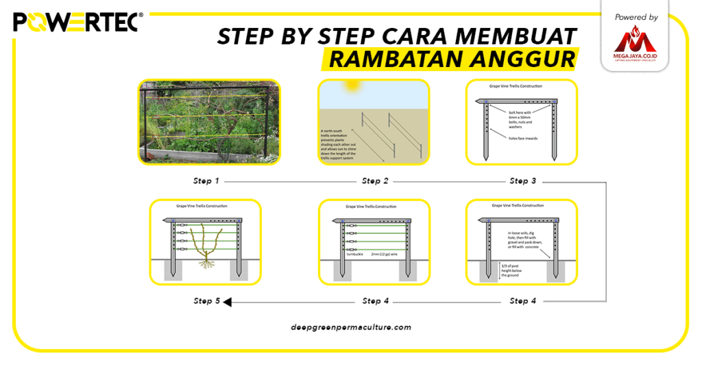 Step by Step Cara Membaut Rambatan Tanaman